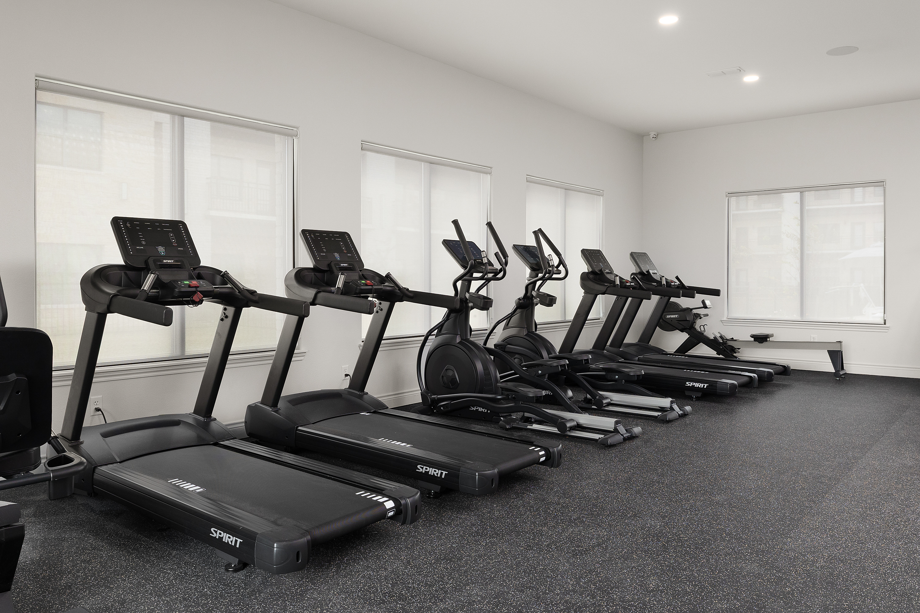 Row of treadmills in a bright, minimalist gym with large windows along the wall