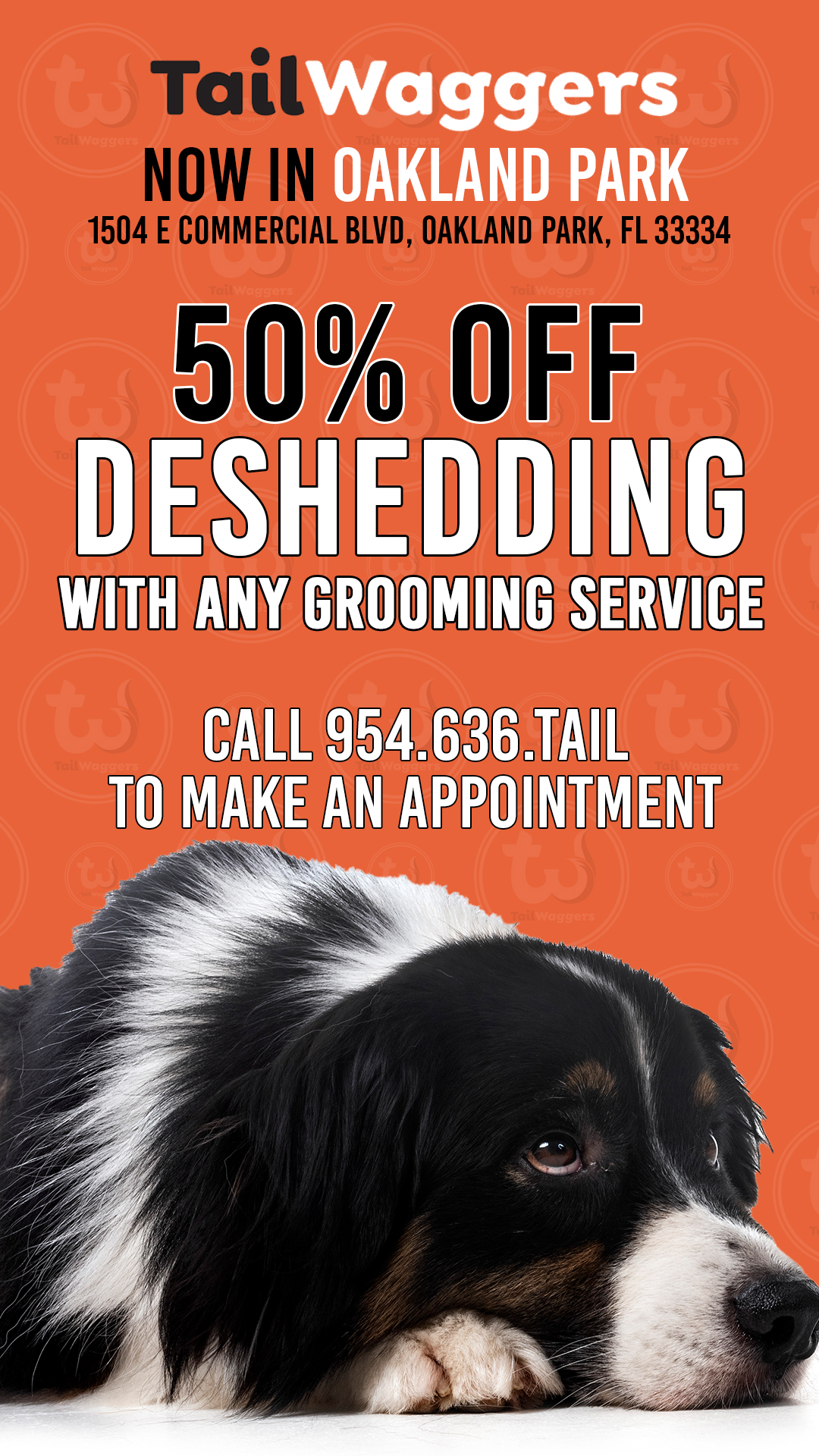 Bright orange TailWagger's ad for Oakland Park offering 50% off deshedding with any grooming service; dog photo at bottom.