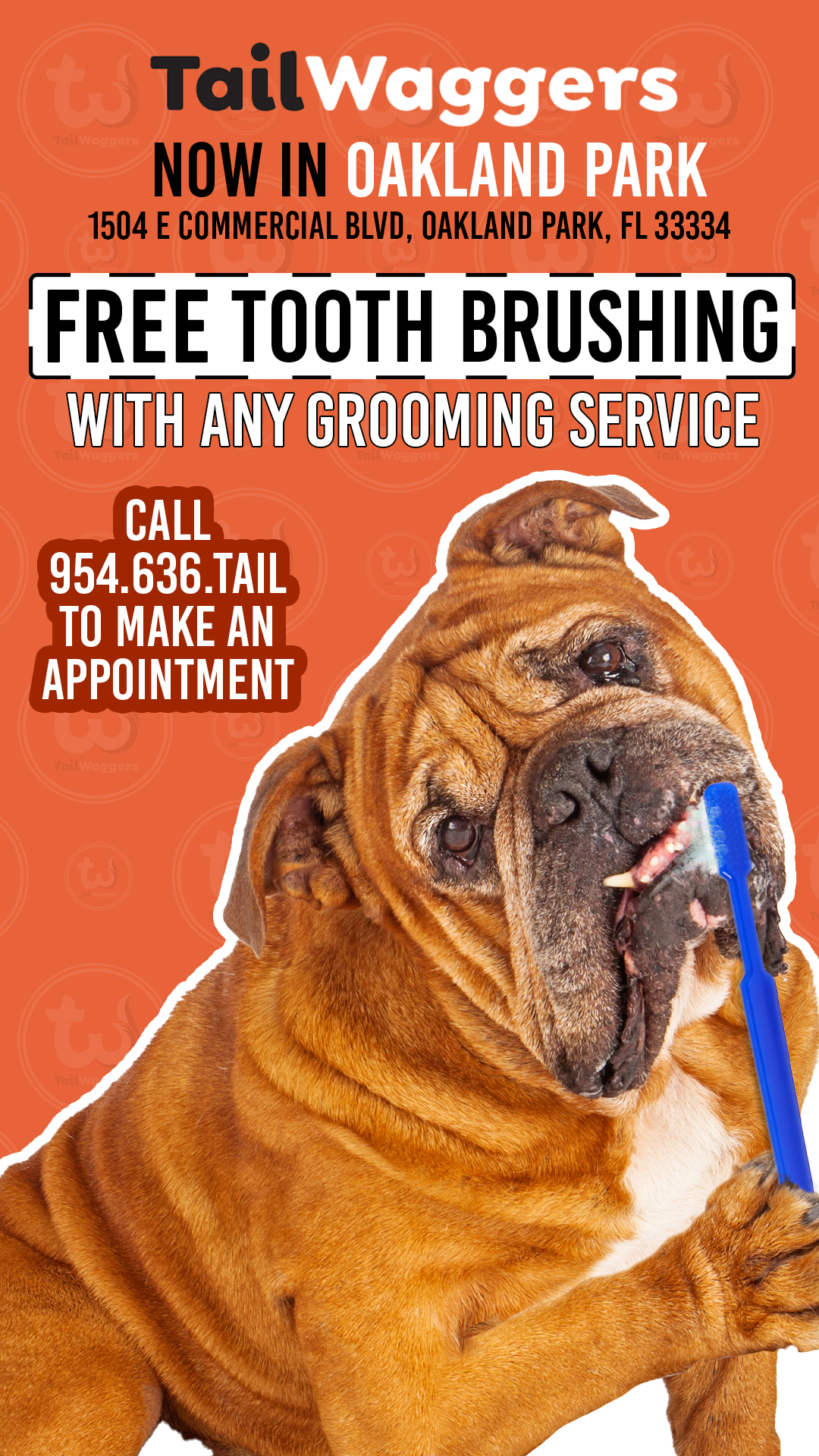 Orange promotional poster for TailWaggers offering free tooth brushing with any grooming service, featuring a Mastiff-like dog with a blue toothbrush.