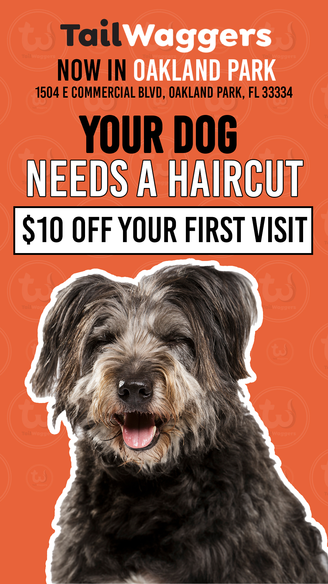 Poster advertising TailWaggers dog grooming in Oakland Park with a smiling fluffy dog and '$10 off your first visit'.