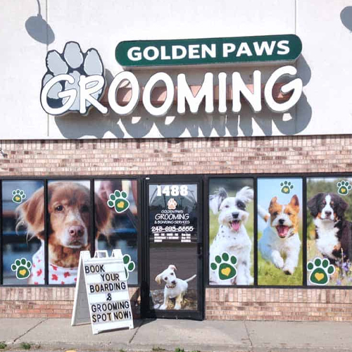 Storefront for Golden Paws Grooming with large sign, dog photos in windows, paw prints, and a sidewalk sign offering boarding and grooming.