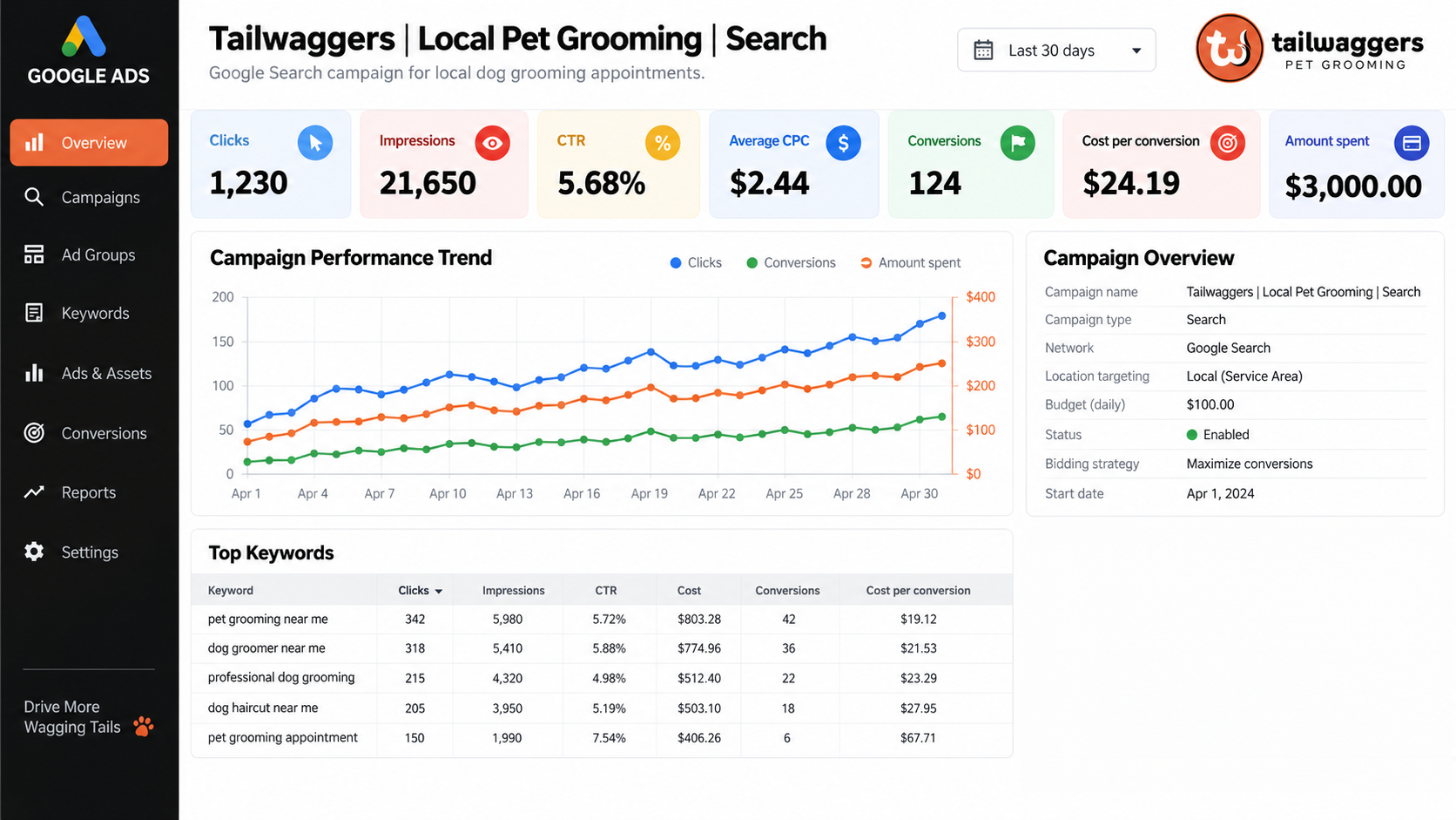Dashboard showing Google Ads campaign for Tailwaggers Local Pet Grooming with performance charts and overview panels on desktop view